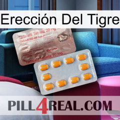 Erección Del Tigre new13